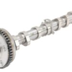 06H109021K  რასპრედვალი ვანუსით  Borsehung  B18979