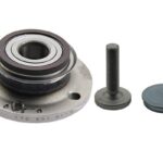 1T0598611B მორგვის საკისარი უკანა Borsehung B19235